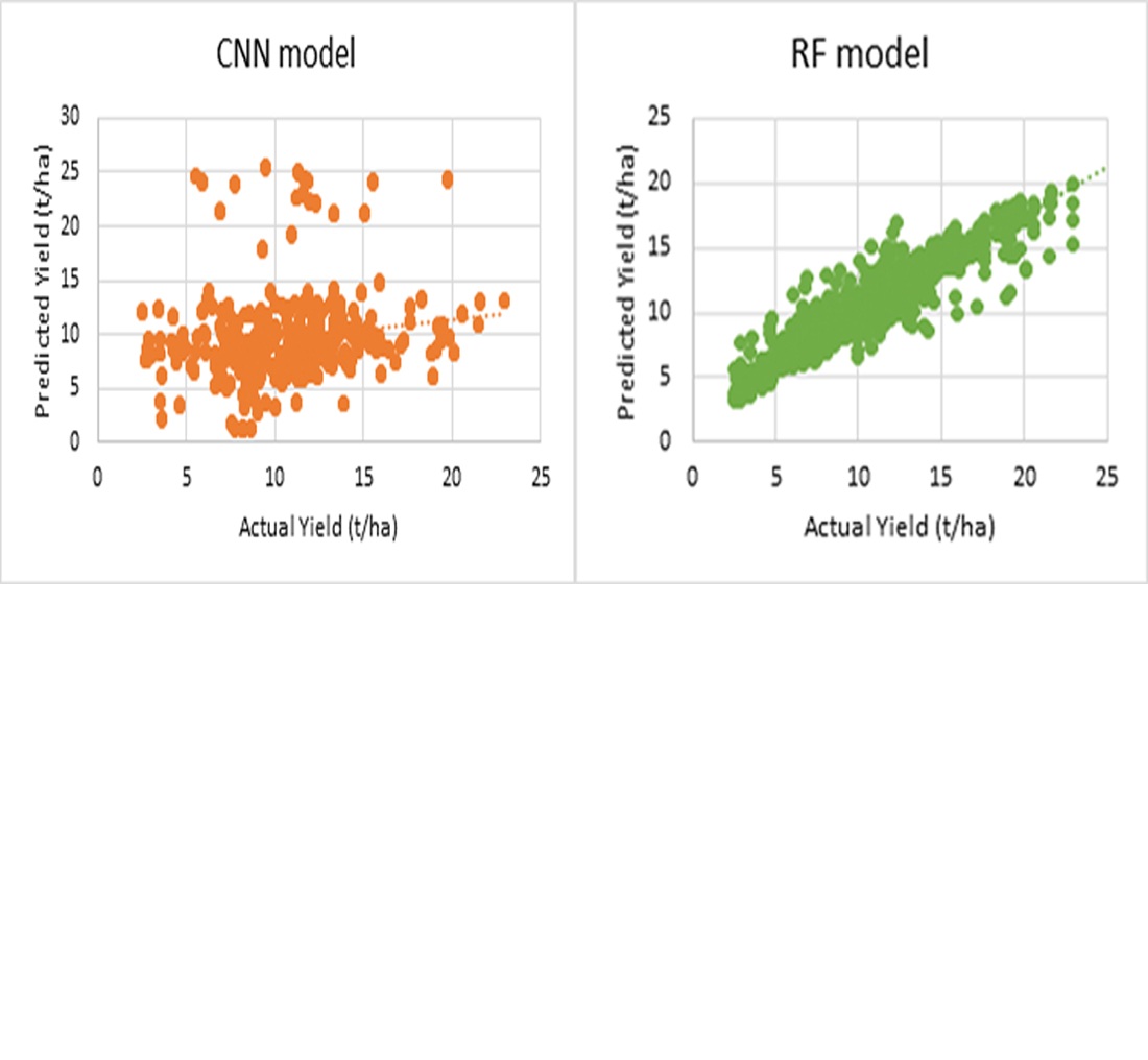 Comparative assessment of machine learning algorithms for forecasting wheat yields using climate indicators and satellite vegetation indices