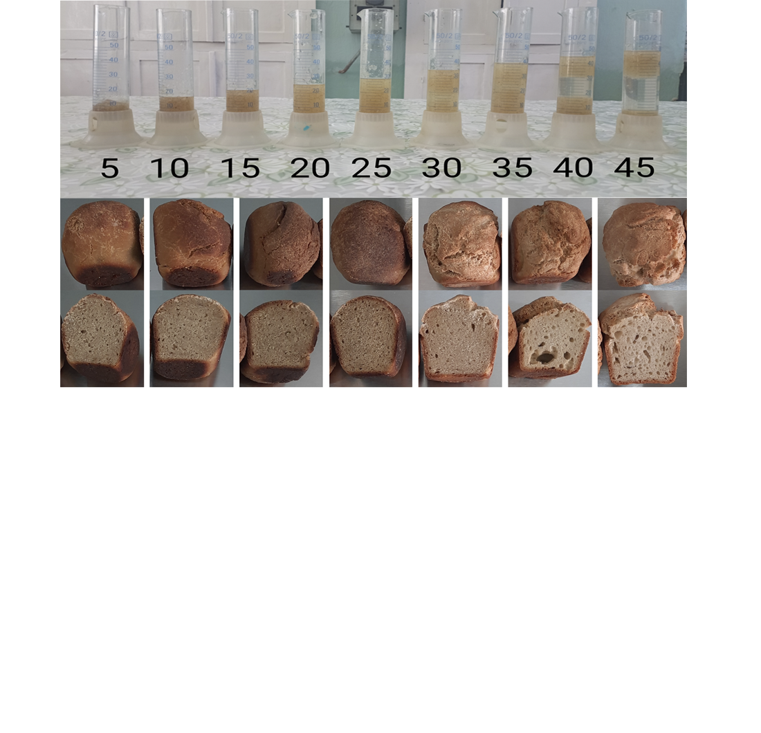 Devising an approach to assessing the quality of gluten-free bread of new recipes