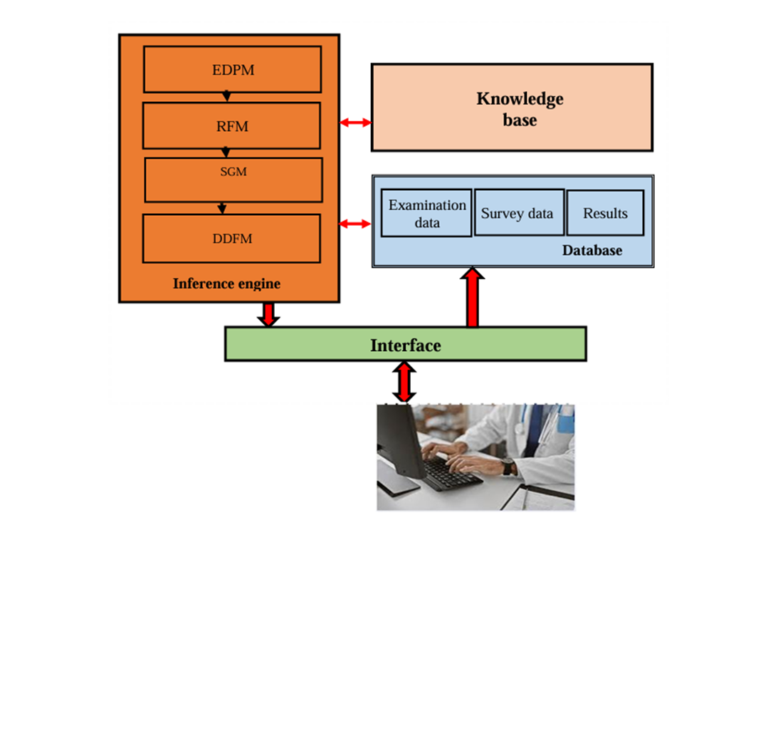 Development of an intelligent support system for hepatocellular carcinoma treatment selection