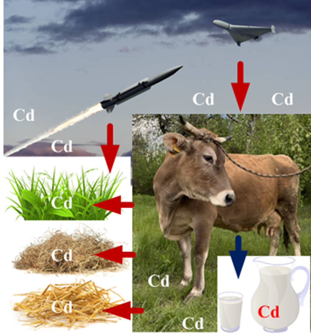 Detecting cadmium bioaccumulation in soil and its translocation into agricultural produce