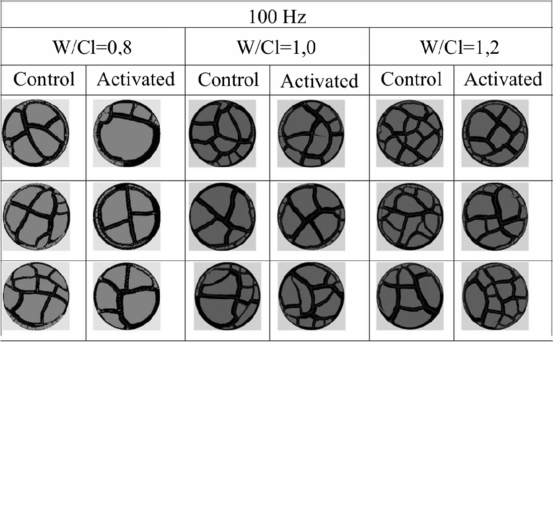Fractal assessment of structural changes in cellular concrete under acoustic excitation