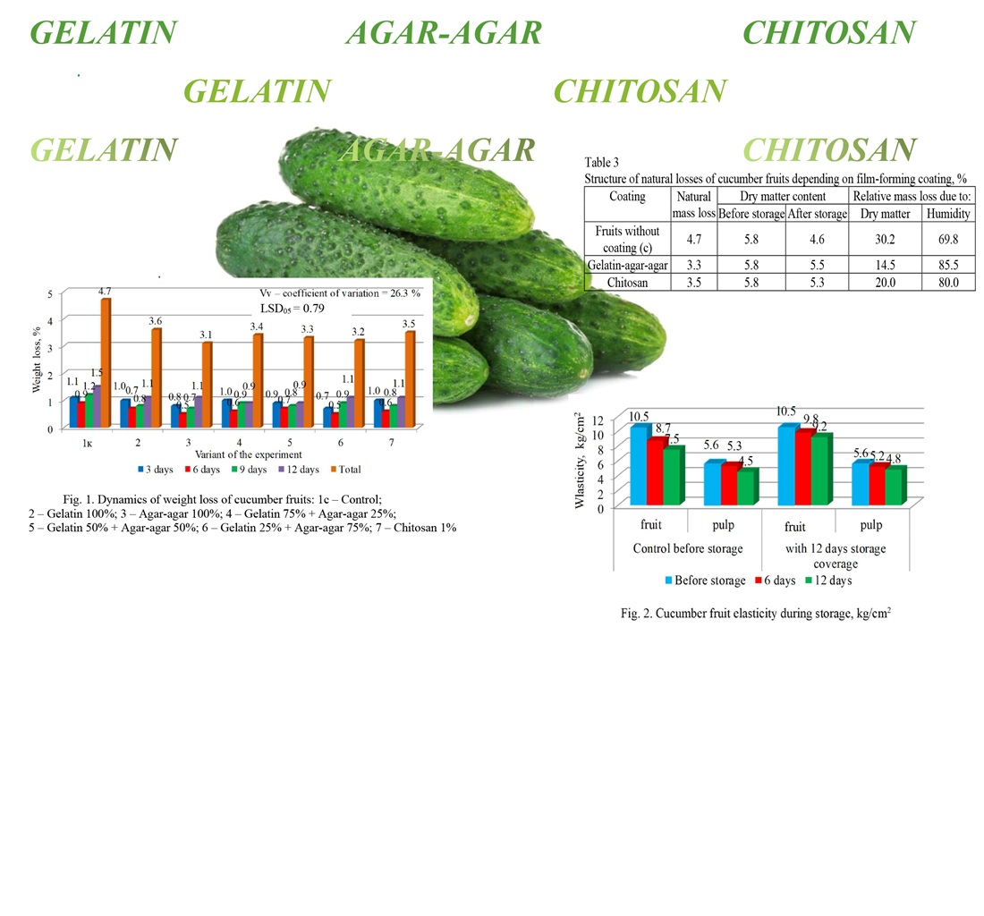 Determining the effect of edible gelatin, agar-agar, and chitosan coatings on the storage of cucumber fruits