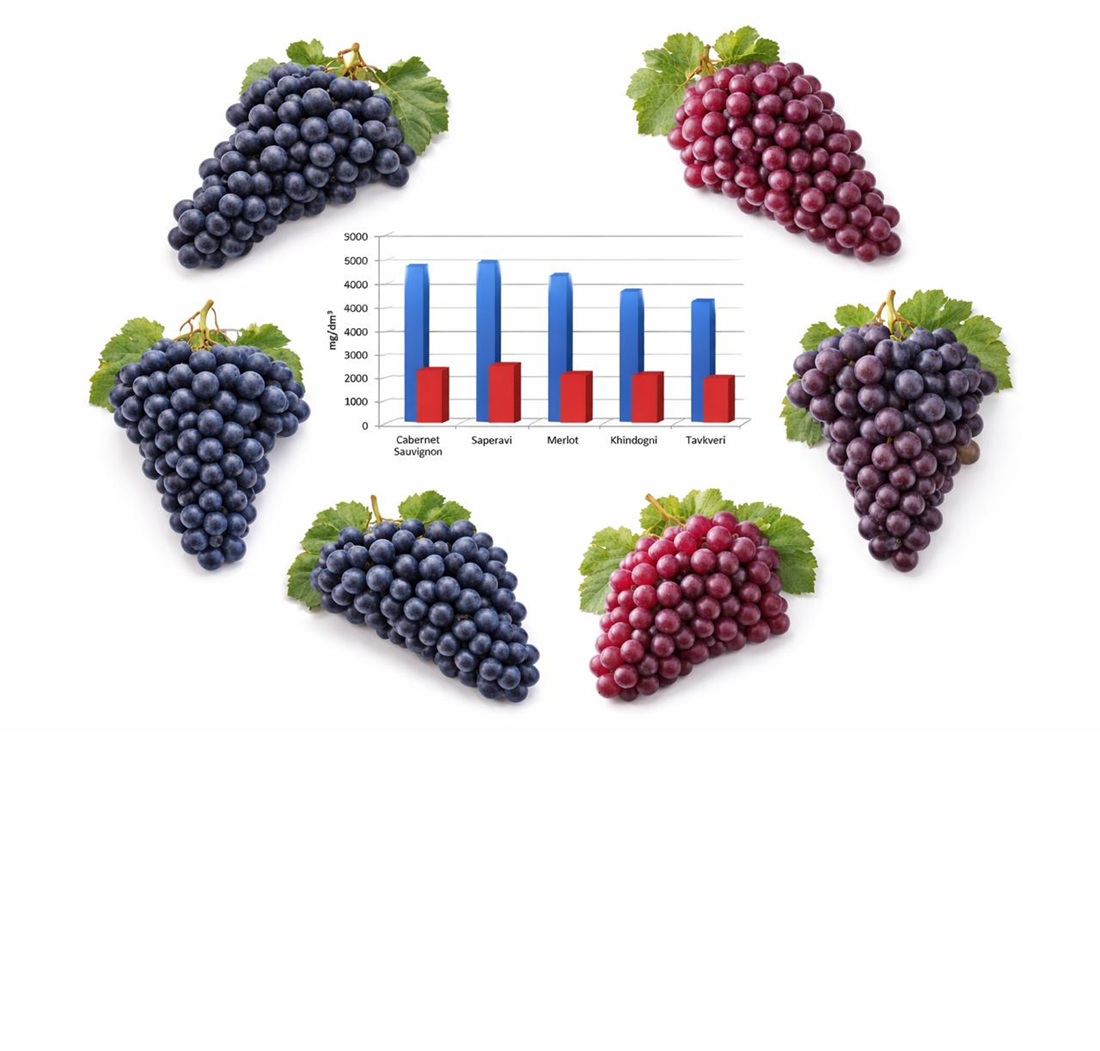 Identifying the factors affecting the extraction of phenolic compounds in wine production