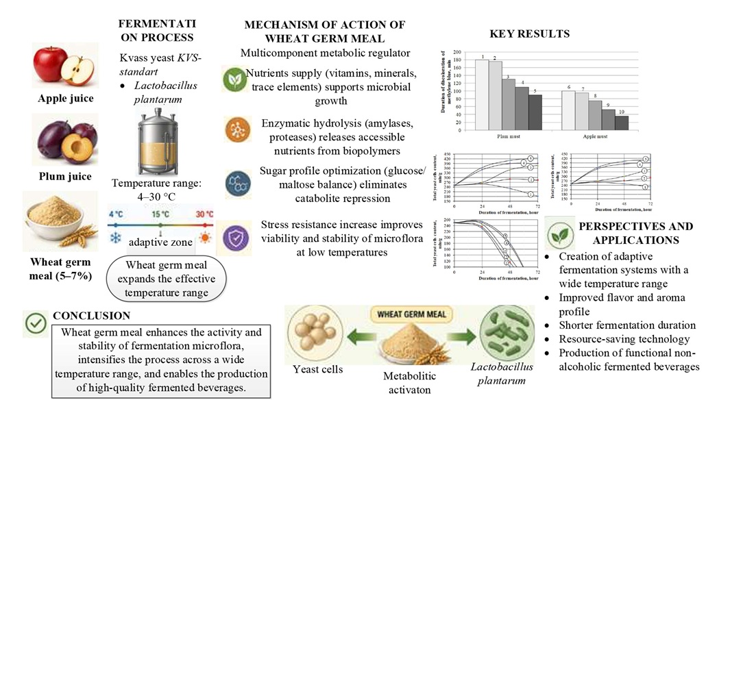 Determining the efficacy of using wheat germ meal as an activator of fermentation microflora for fermented beverages