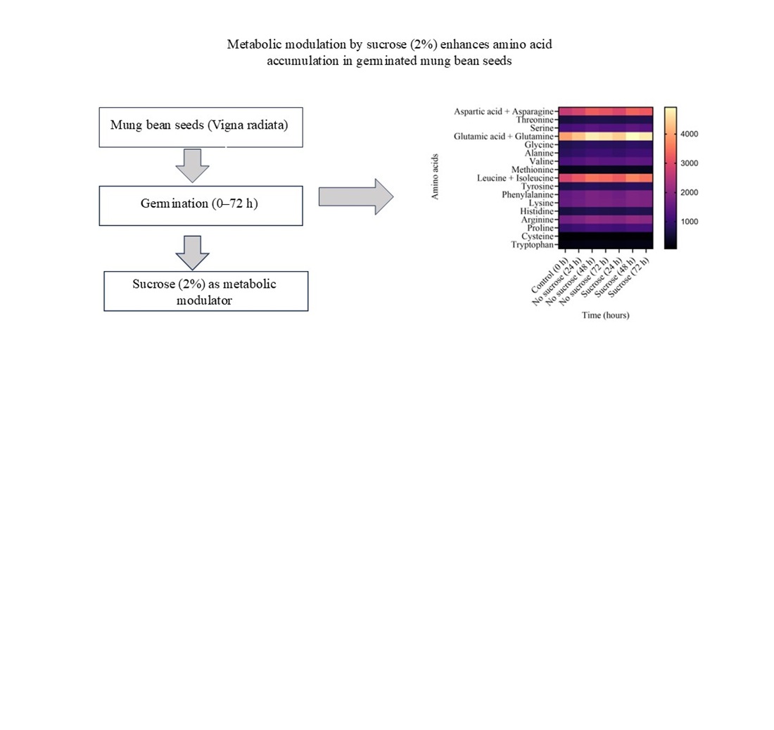 Improvement of the amino acid composition of a mung bean-based functional beverage through the application of a metabolic modulator during sprouting
