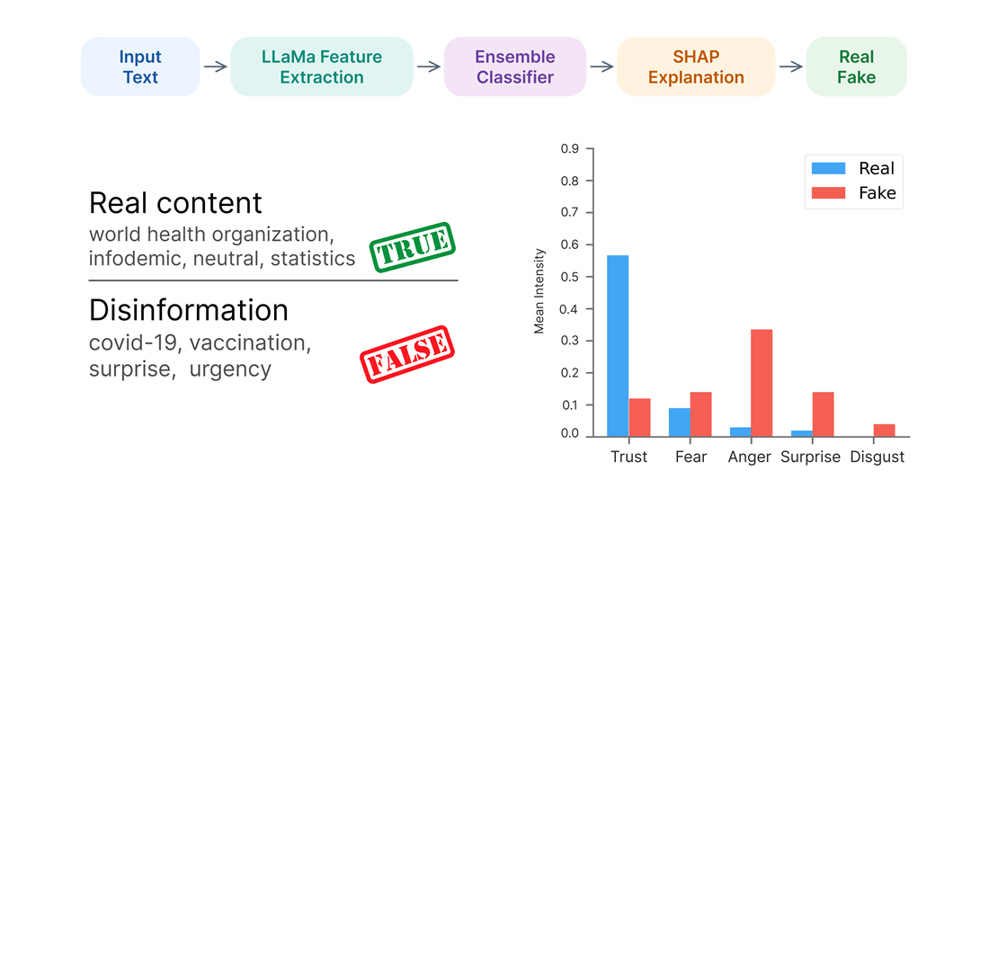 Development of an interpretable classification method for healthcare disinformation detection: large language model feature extraction and ensemble learning