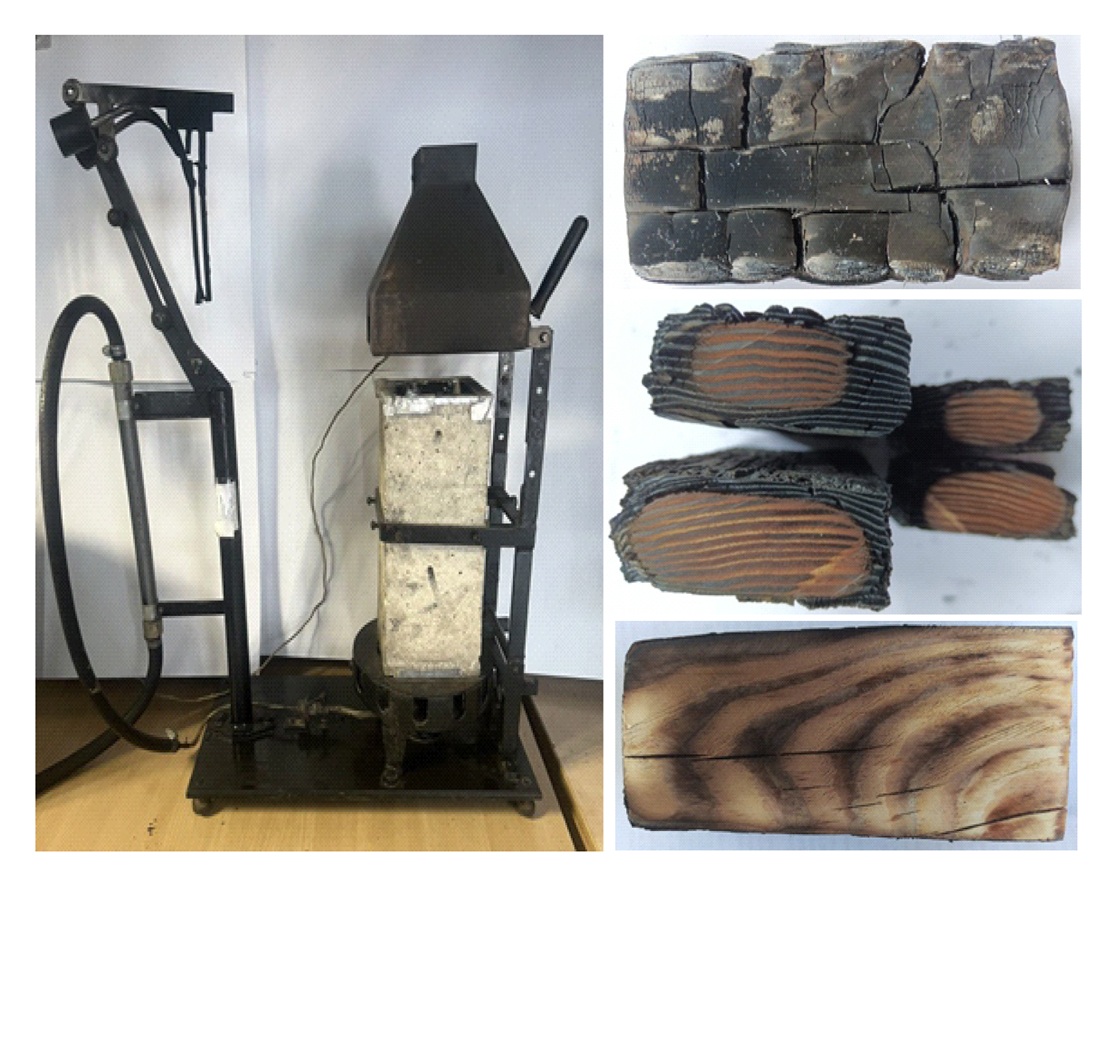 Defining the patterns of wood flammability reduction considering combustion processes and thermal oxidative destruction