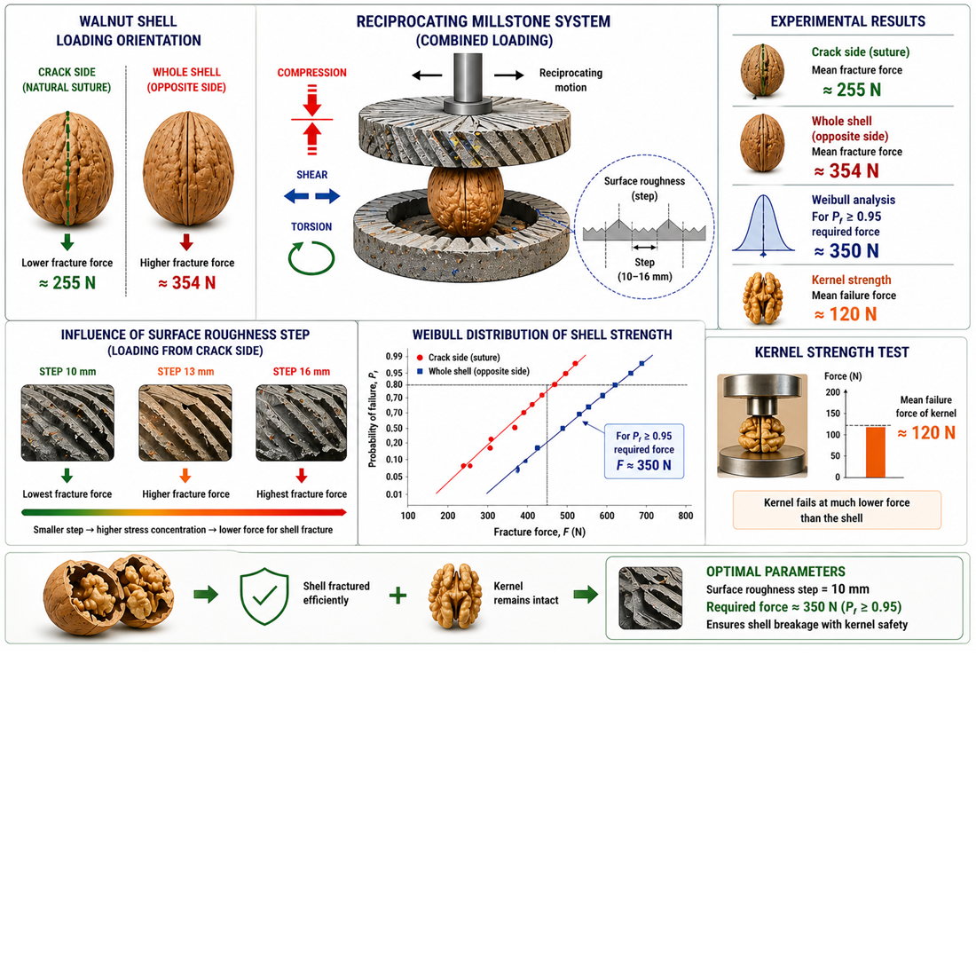 Identifying patterns of walnut shell fracture under combined loading in a reciprocating millstone system