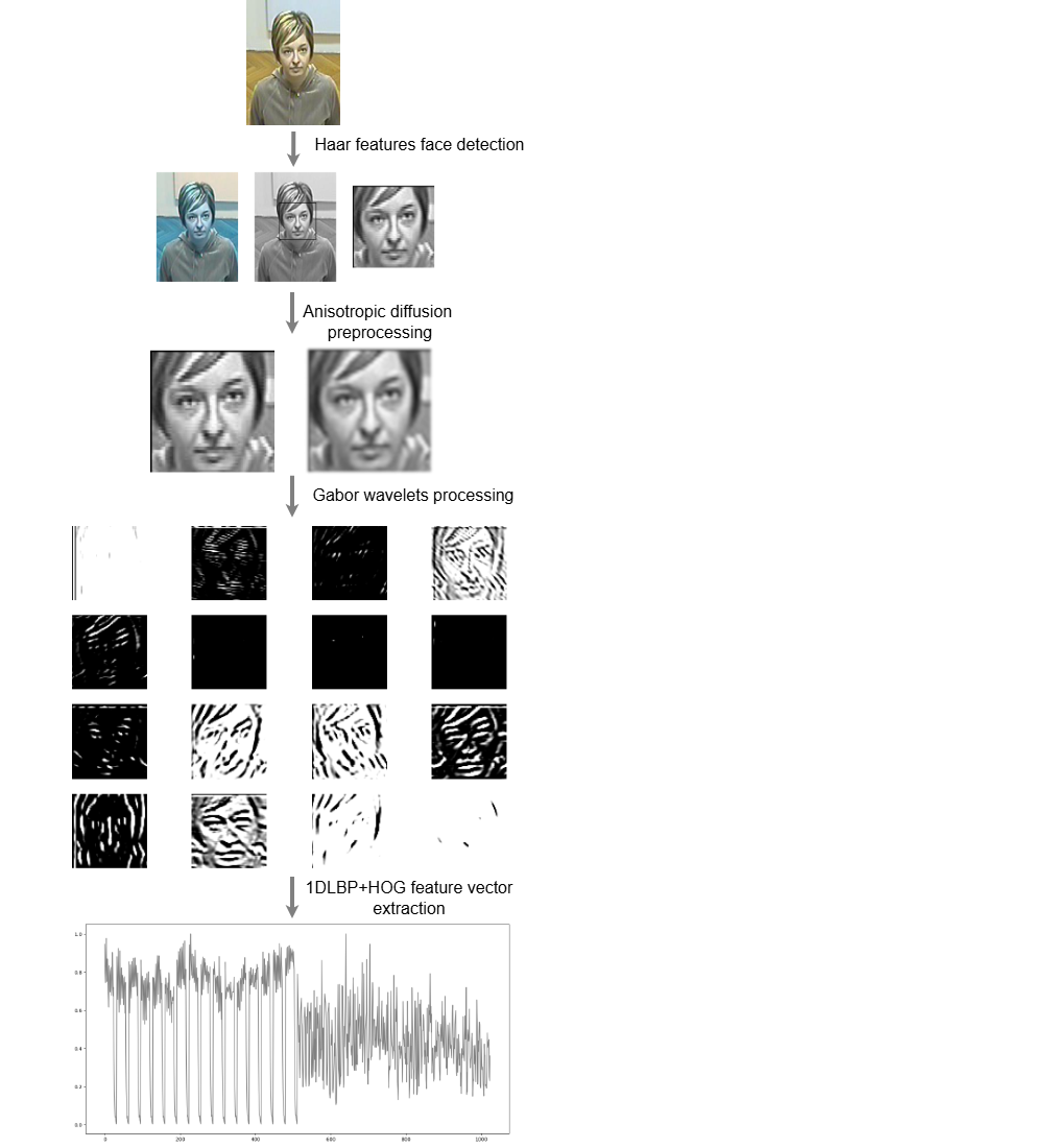 Determining the impact of adversarial cyberattacks on the performance of a comprehensive biometric identification method based on local-texture descriptors