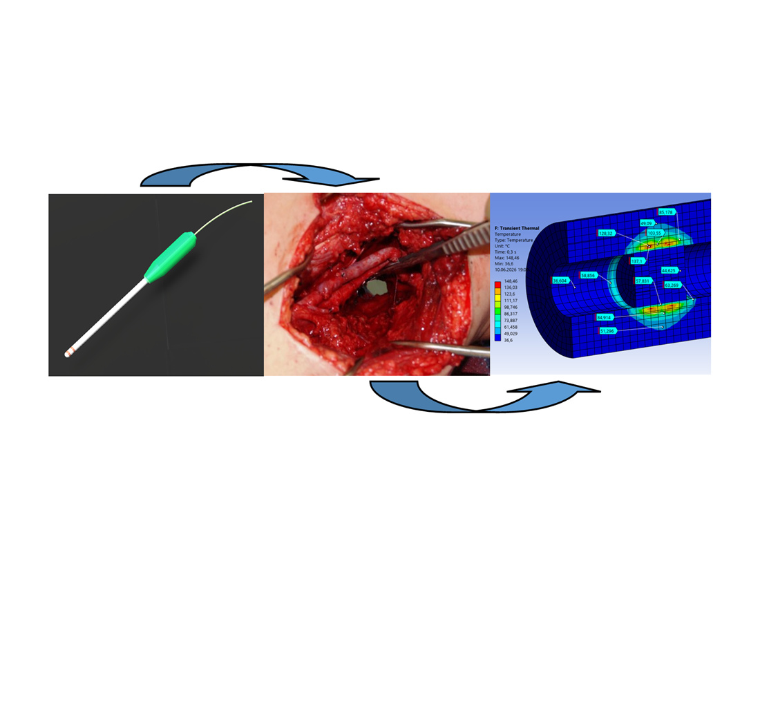 Construction of a two-phase model for heating biological tissue and electrosurgical instruments with a split electrode