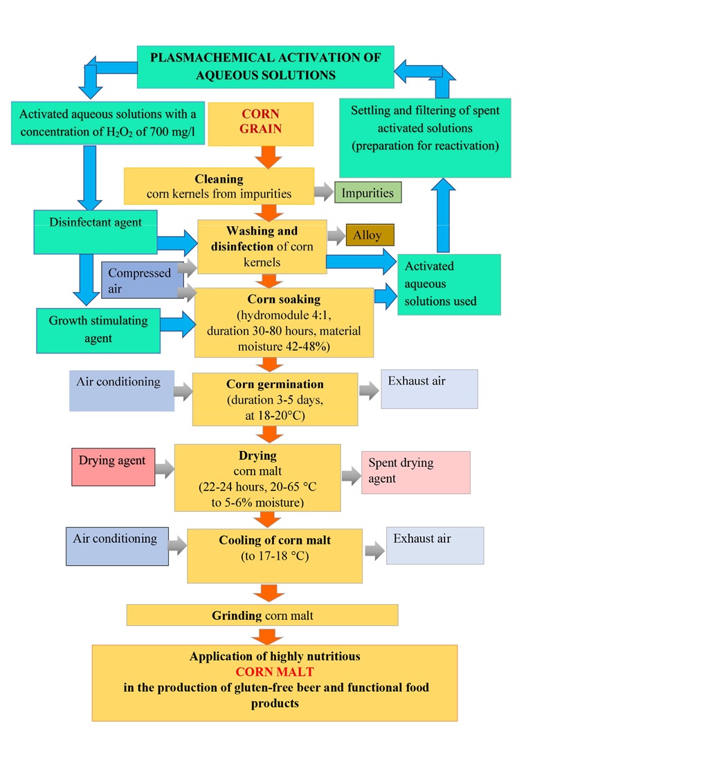 Development of technology for the production of corn malt using plasmochemically activated aqueous solutions