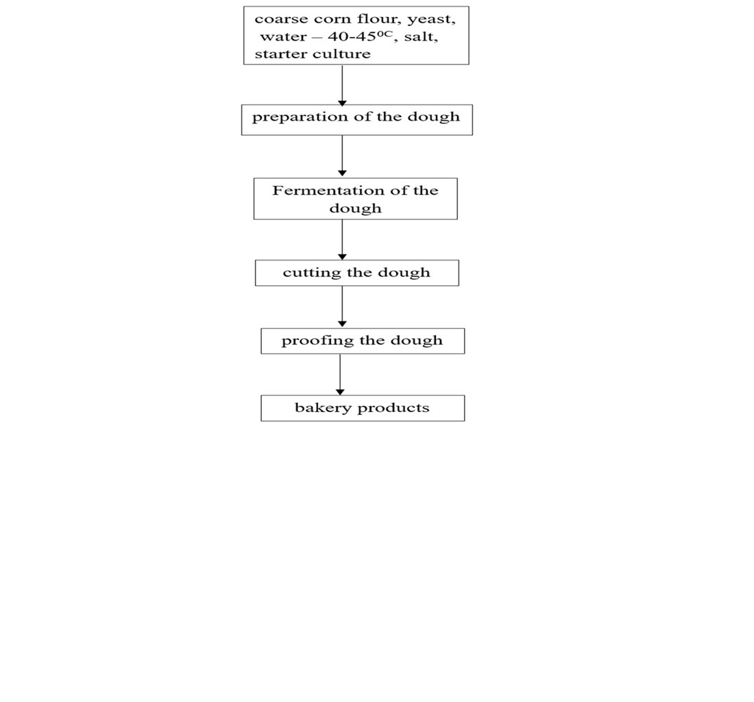 Development of coarse corn flour technology for baking functional bread
