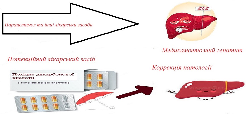 Ефективність нового комбінованого засобу на основі похідного дикарбонової кислоти в умовах медикаментозного гепатиту