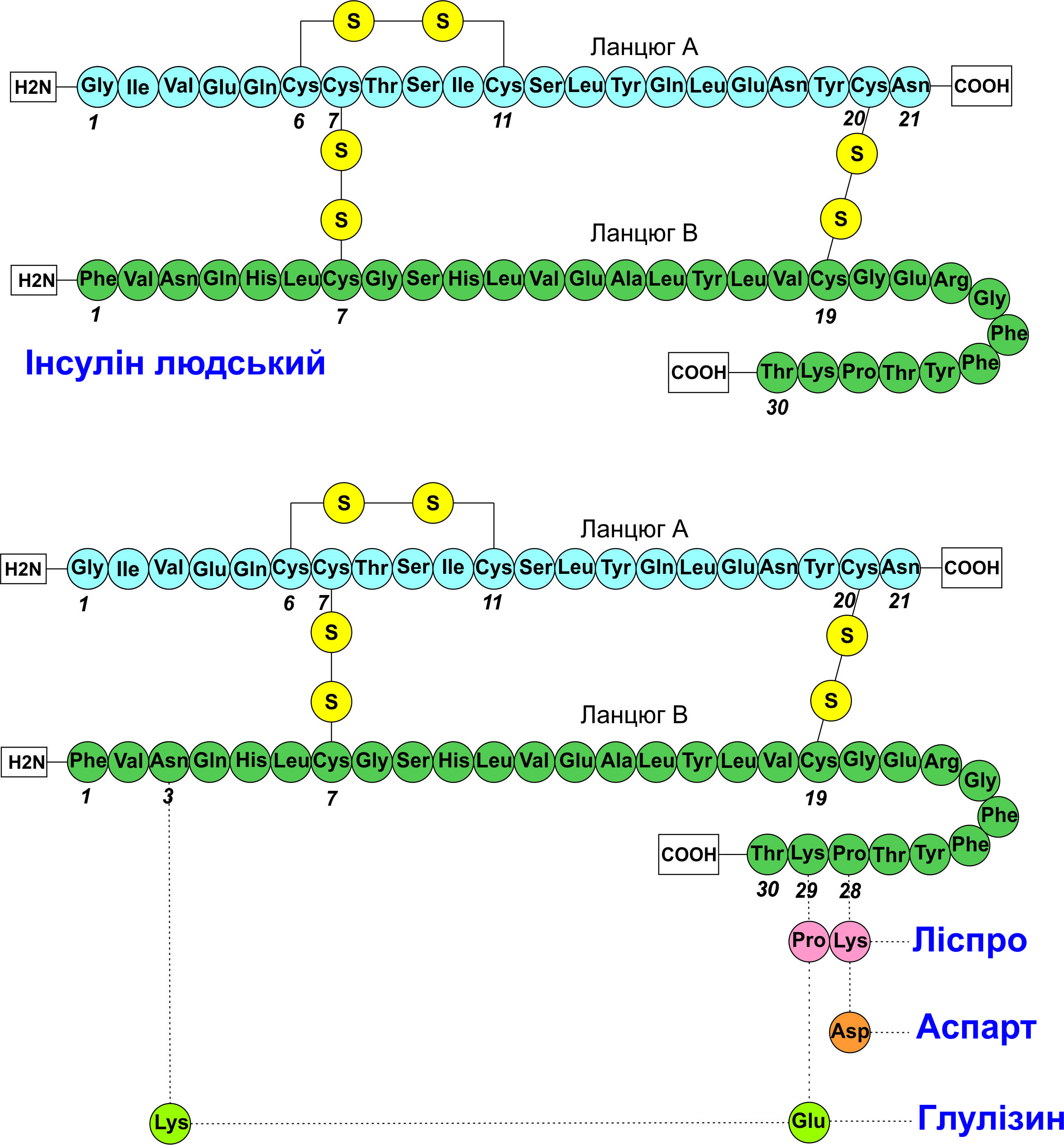 Evolution of insulin production technologies: from historical discoveries of the molecule structure to modern innovations